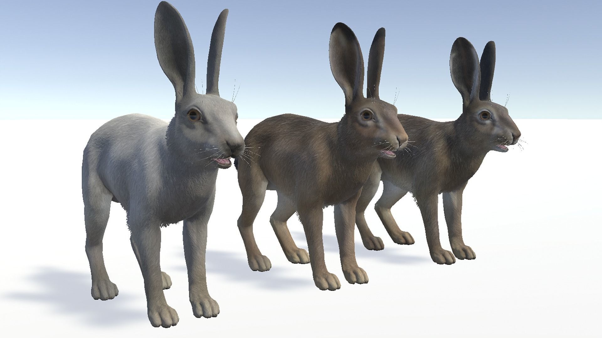 Hare - Male Low-poly 3D model_8