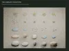 Rocks and Ground Cover Pack PBR - 25 Assets 3D model | CGTrader