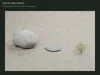 Rocks and Ground Cover Pack PBR - 25 Assets 3D model | CGTrader