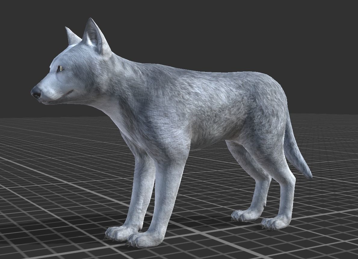 WOLF FAMILY short Low-poly 3D model_13