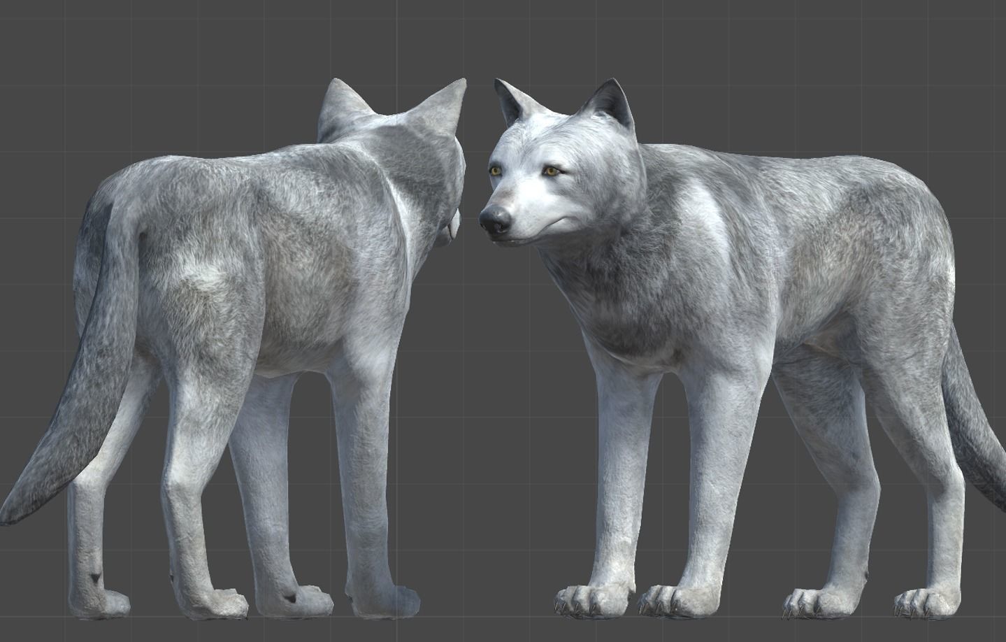 WOLF FAMILY short Low-poly 3D model_9