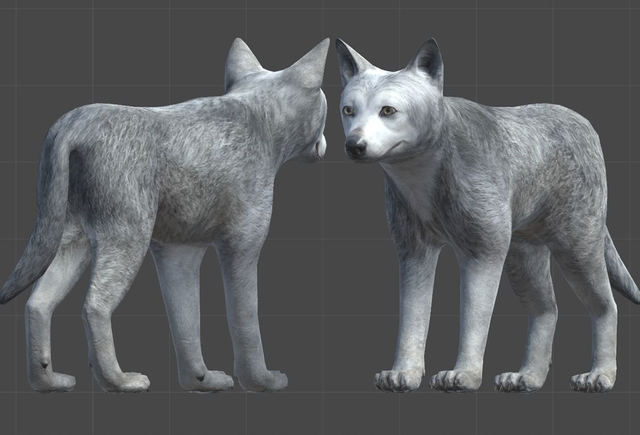 WOLF FAMILY short Low-poly 3D model_16