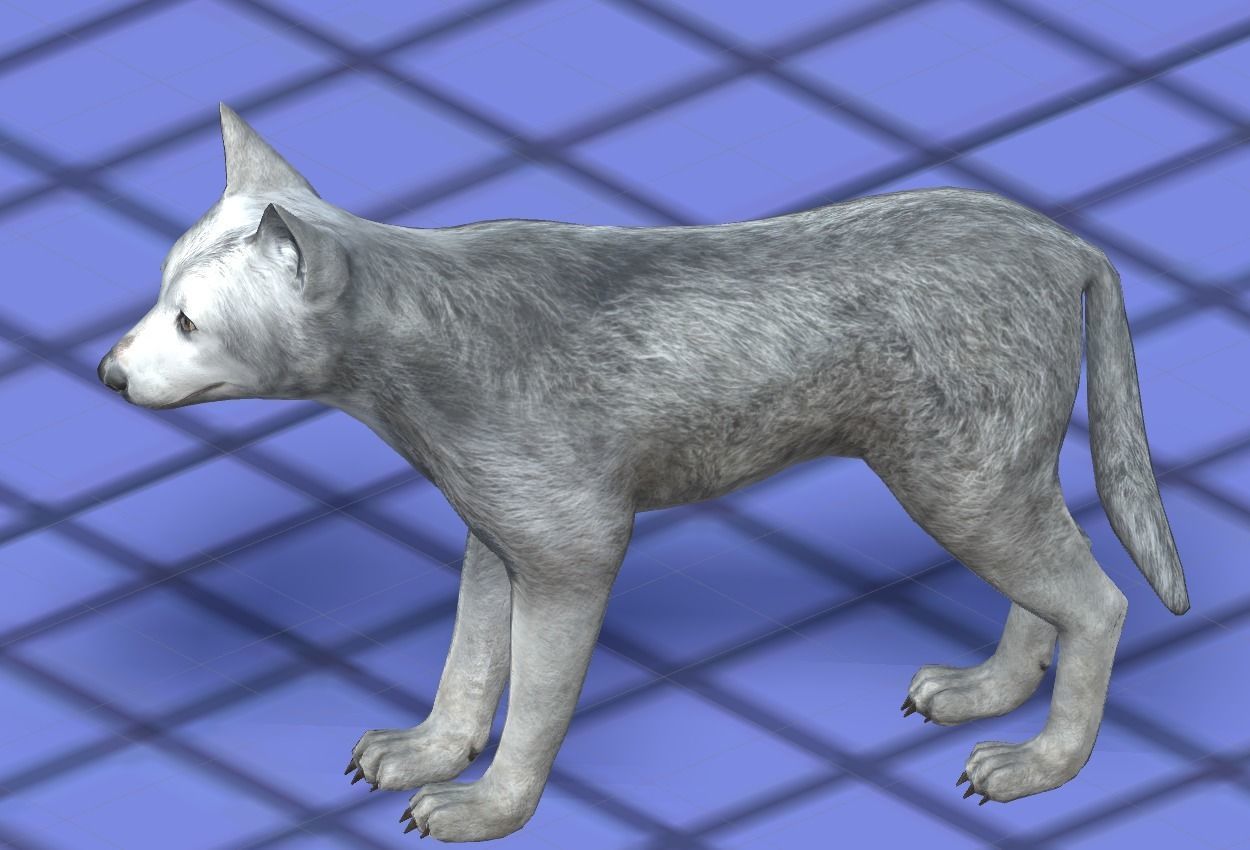 WOLF FAMILY short Low-poly 3D model_19