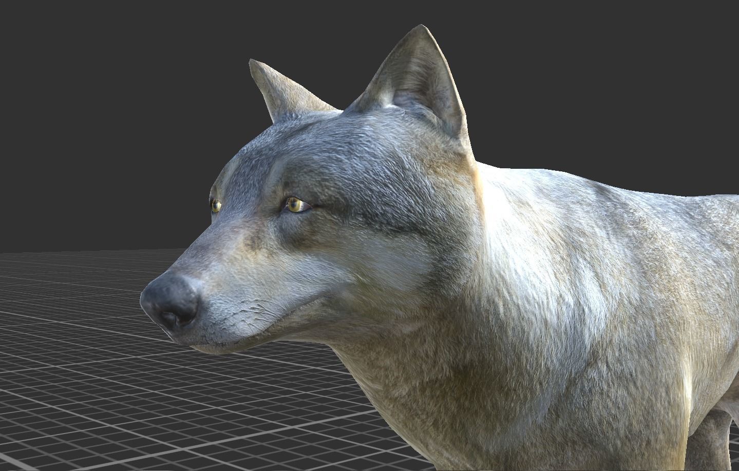 WOLF FAMILY short Low-poly 3D model_5