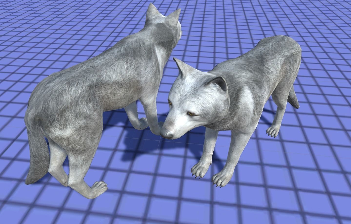 WOLF FAMILY short Low-poly 3D model_10
