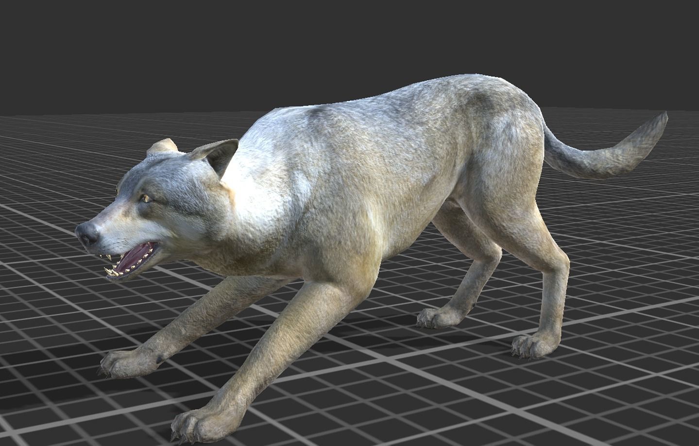 WOLF FAMILY short Low-poly 3D model_6