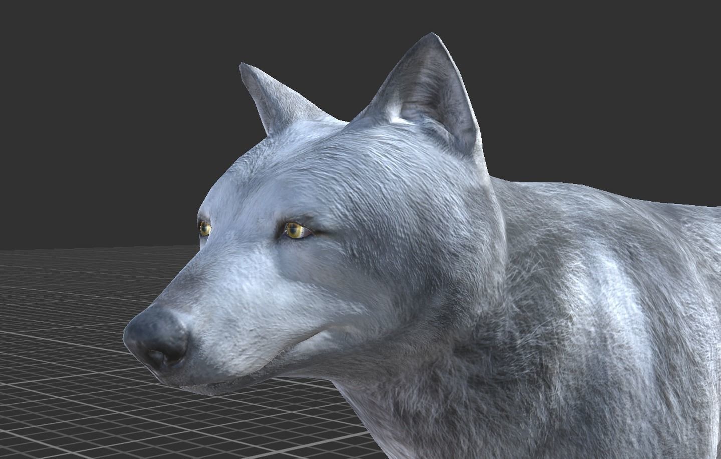 WOLF FAMILY short Low-poly 3D model_3
