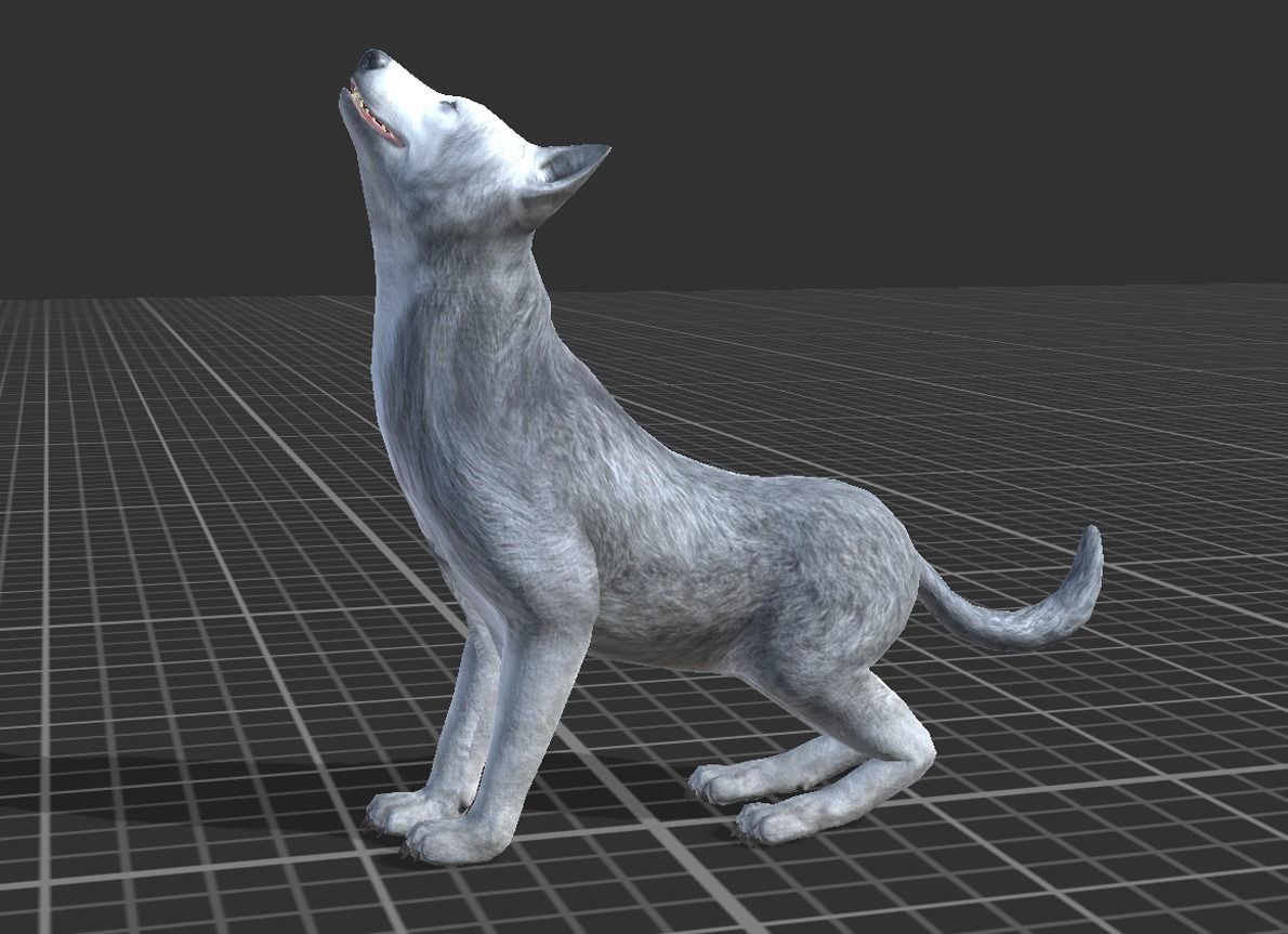WOLF FAMILY short Low-poly 3D model_14