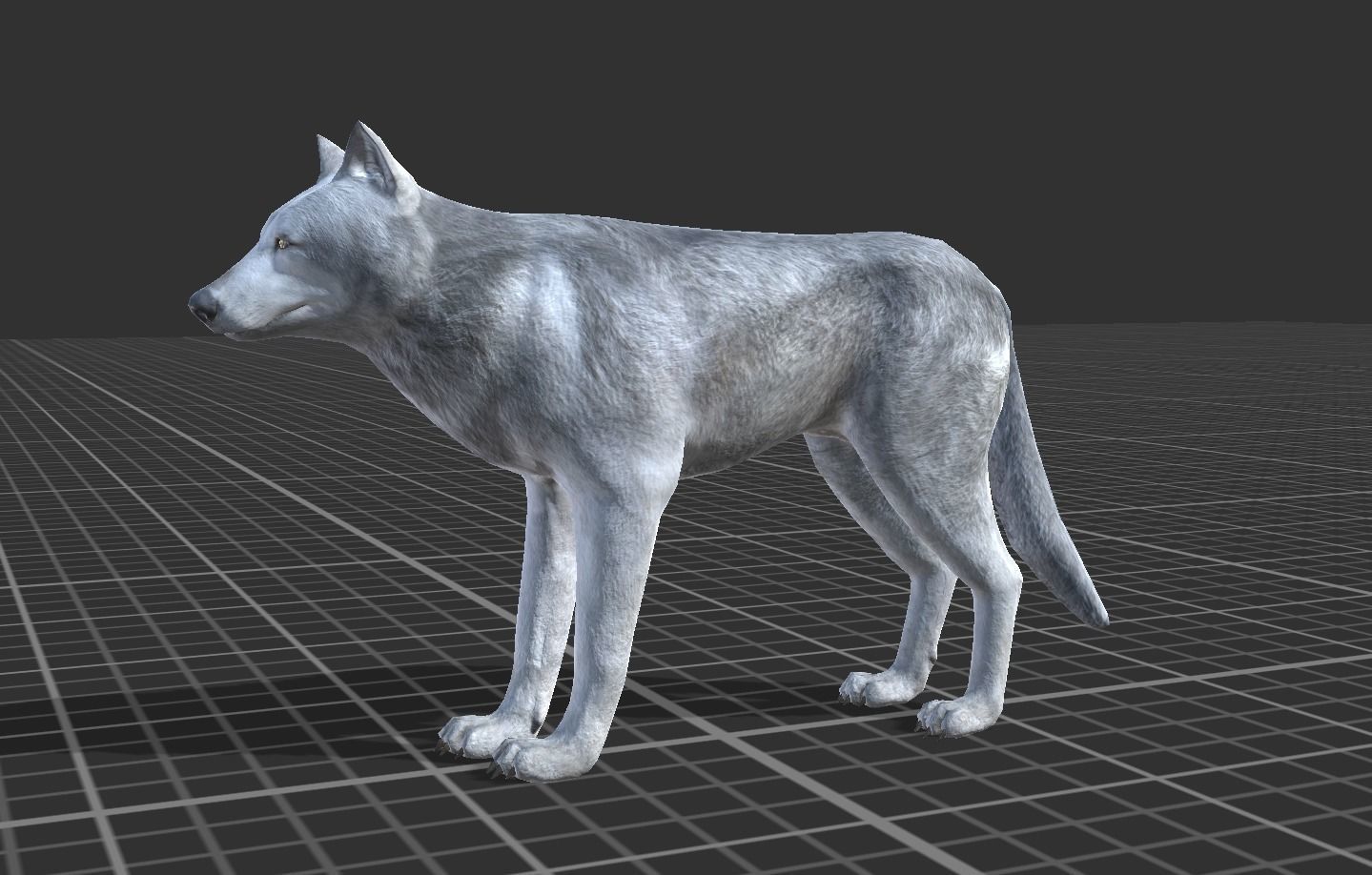 WOLF FAMILY short Low-poly 3D model_2