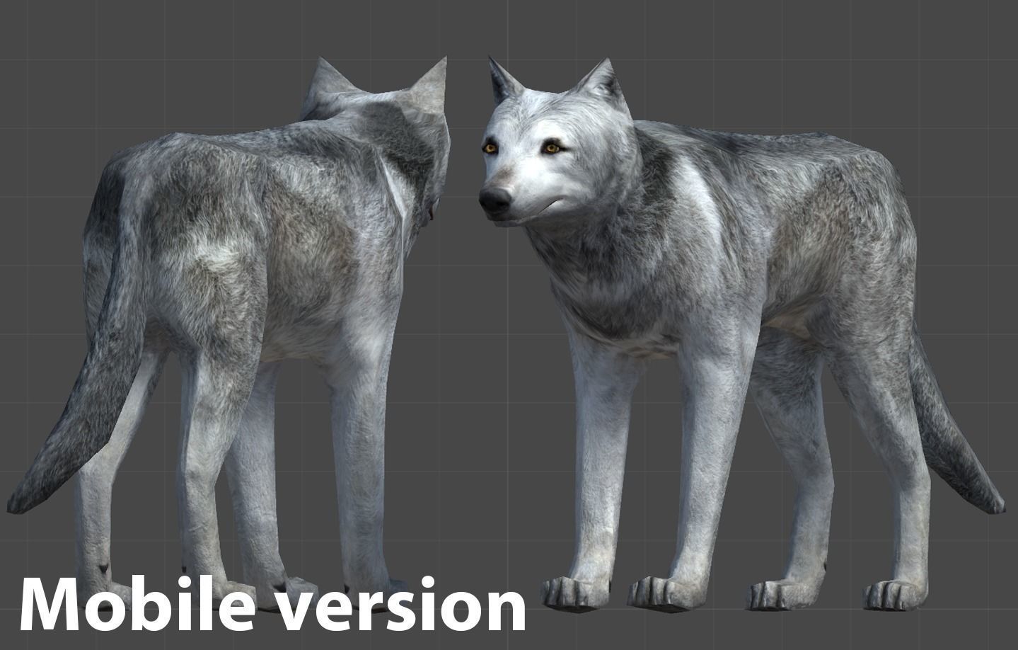 WOLF FAMILY short Low-poly 3D model_11