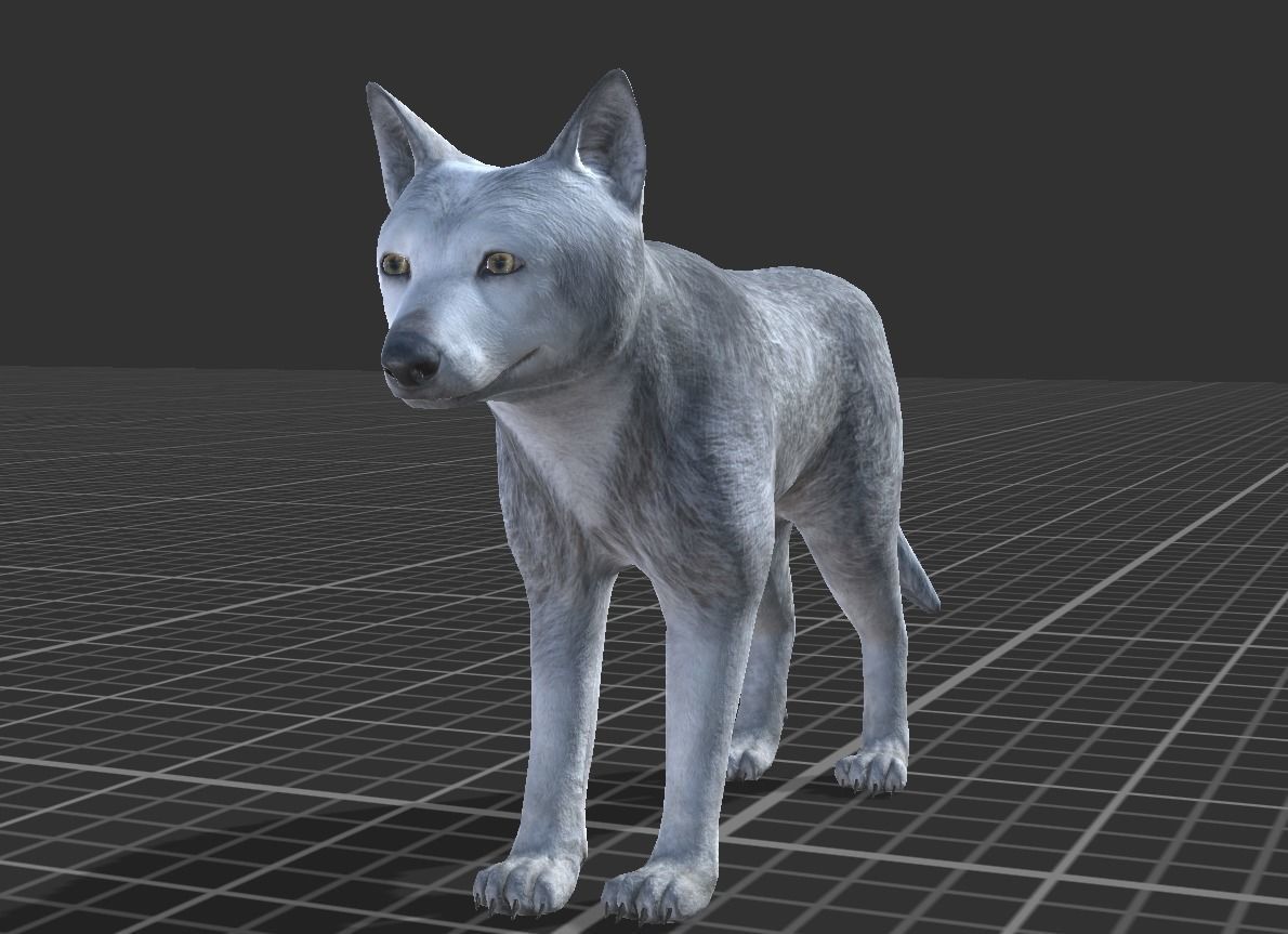 WOLF FAMILY short Low-poly 3D model_12