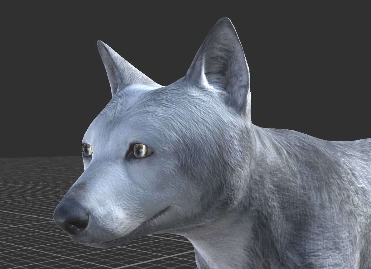 WOLF FAMILY short Low-poly 3D model_15