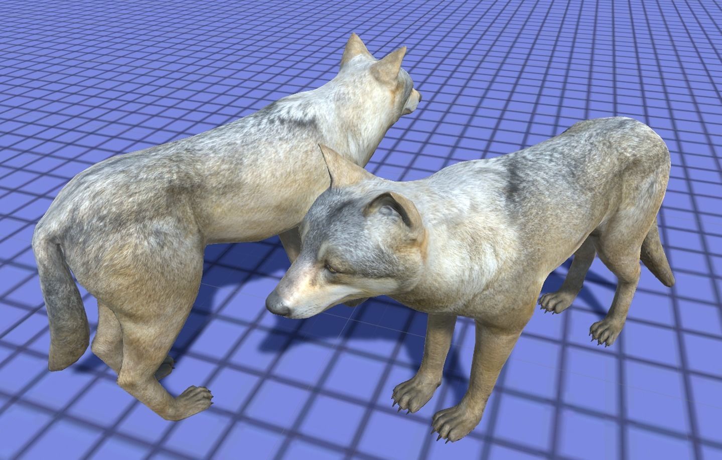 WOLF FAMILY short Low-poly 3D model_8