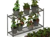 Raised Garden Beds Vegetable Plants 3D model rigged | CGTrader