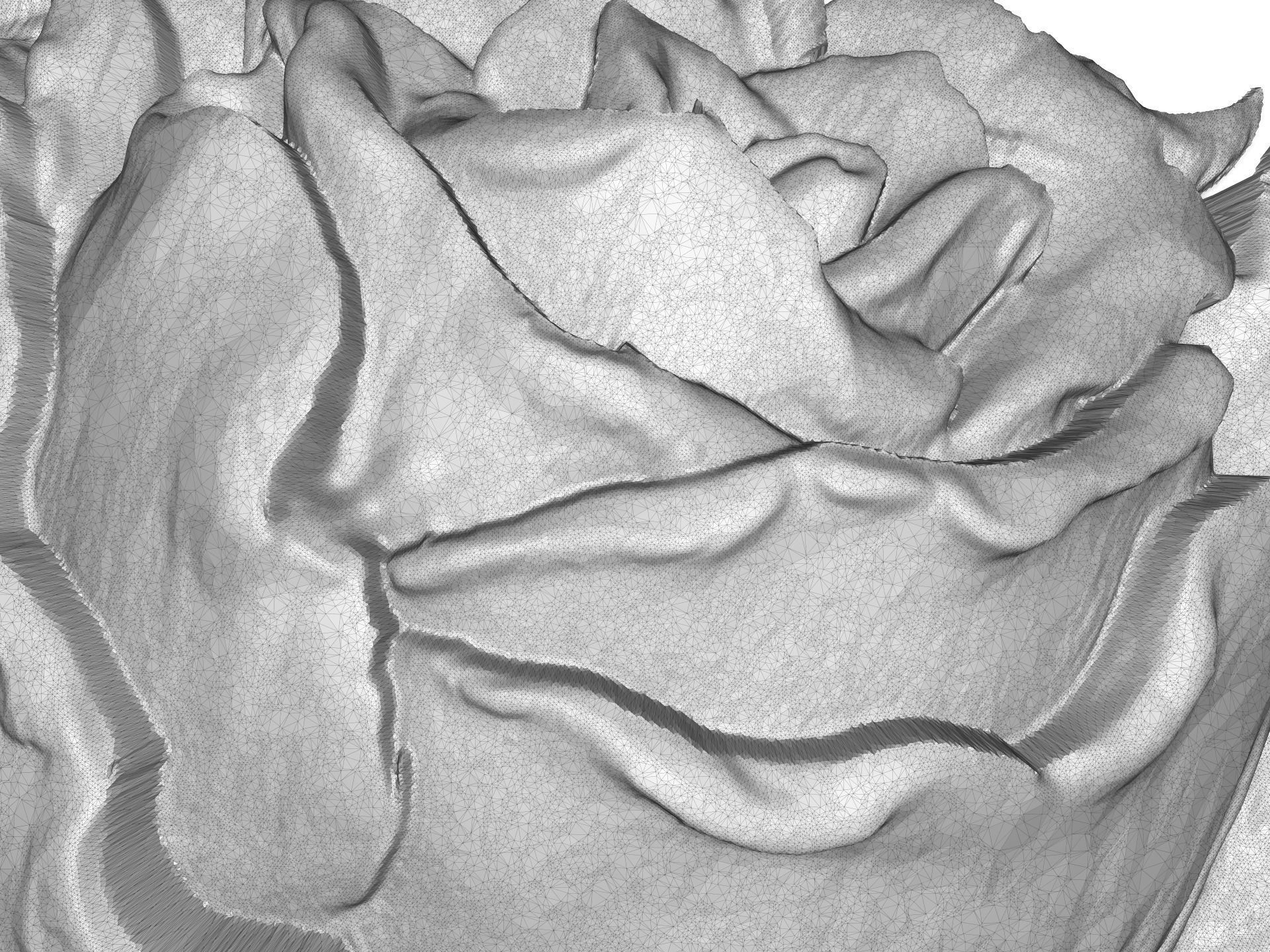 Tea rose bas relief for CNC 3D print model_4