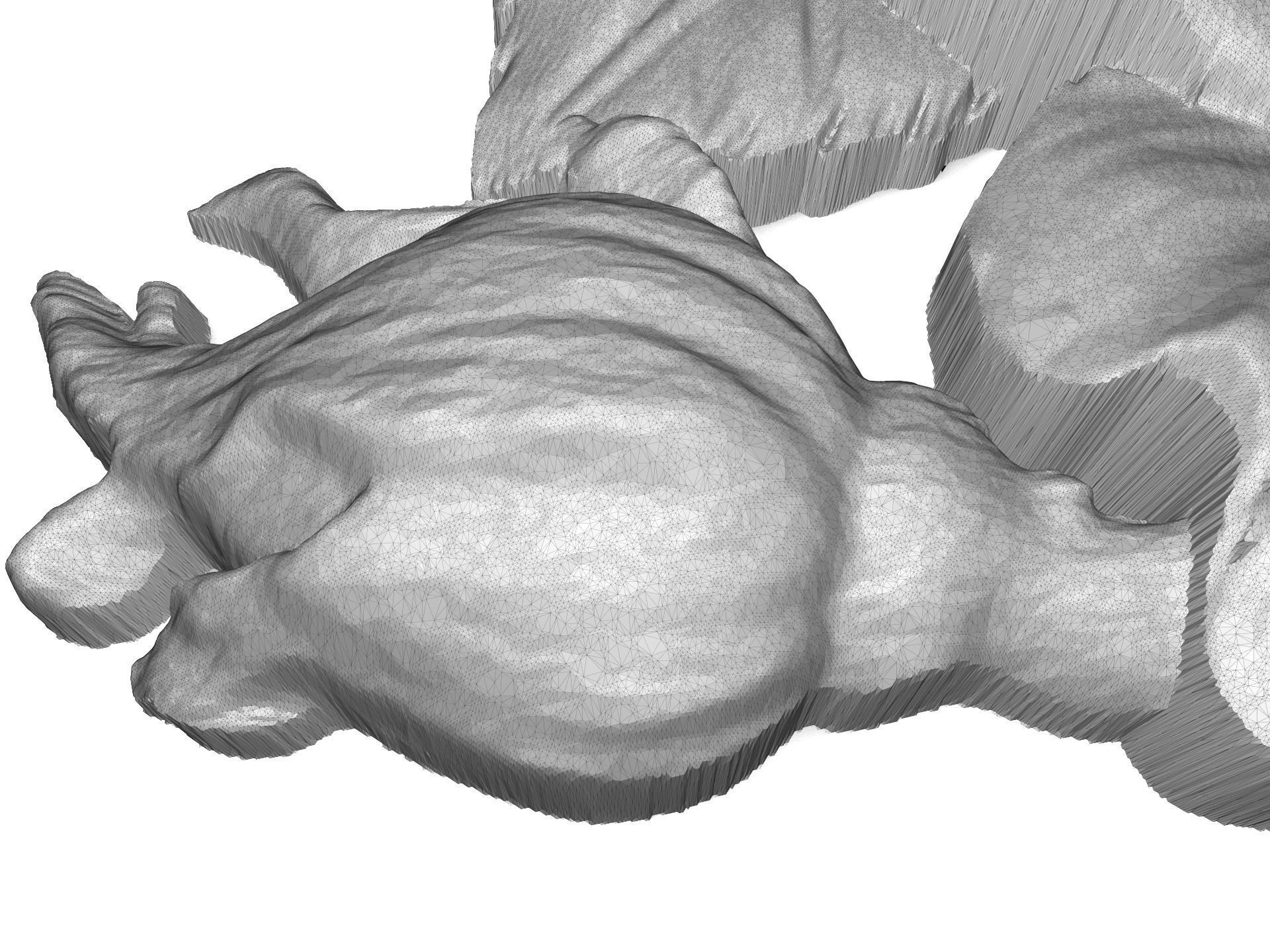 Tea rose bas relief for CNC 3D print model_5