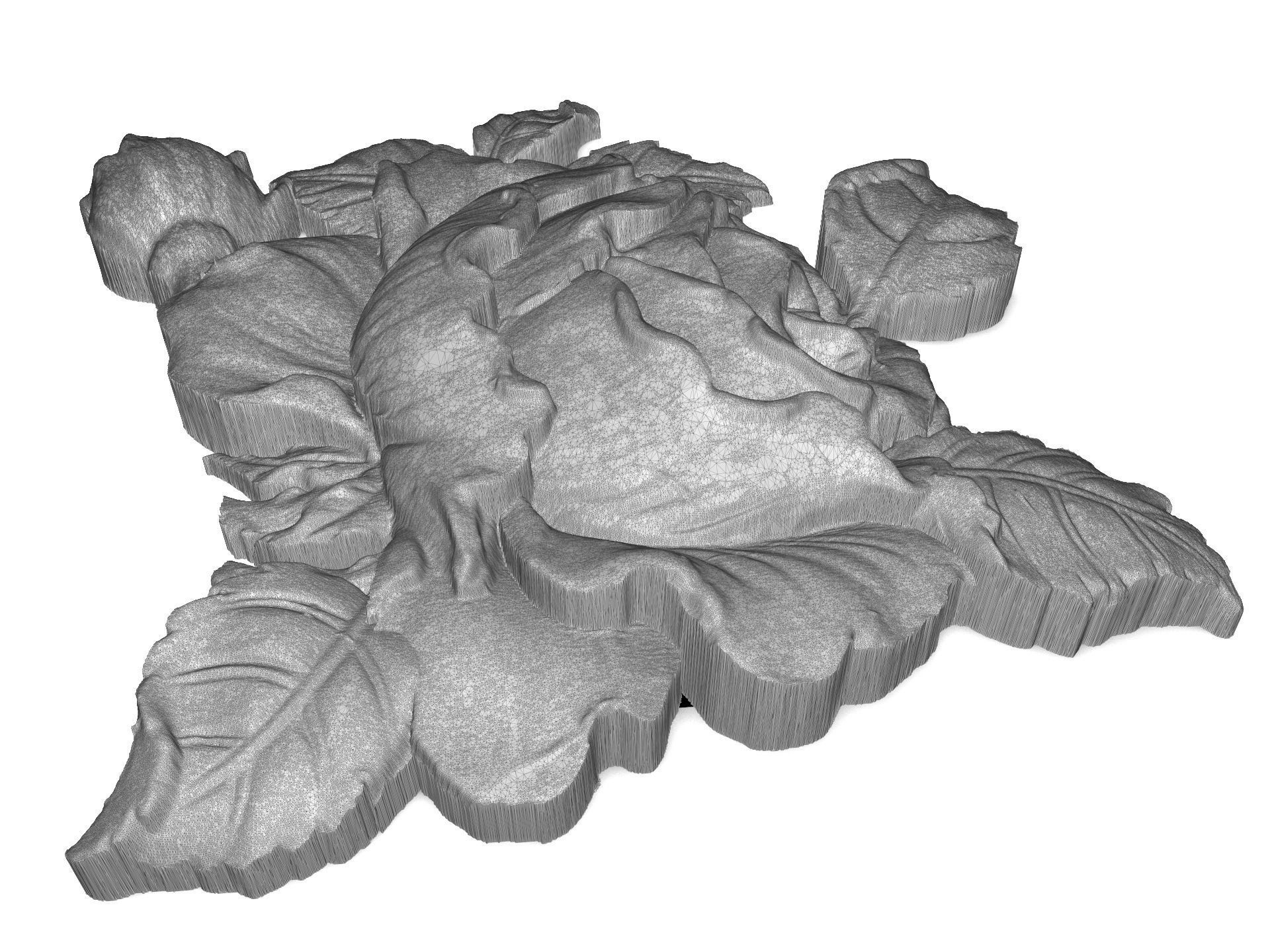 Tea rose bas relief for CNC 3D print model_3