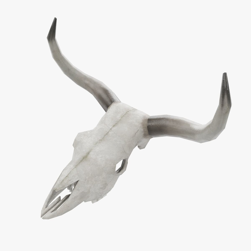 Cow Skull Low-poly 3D model