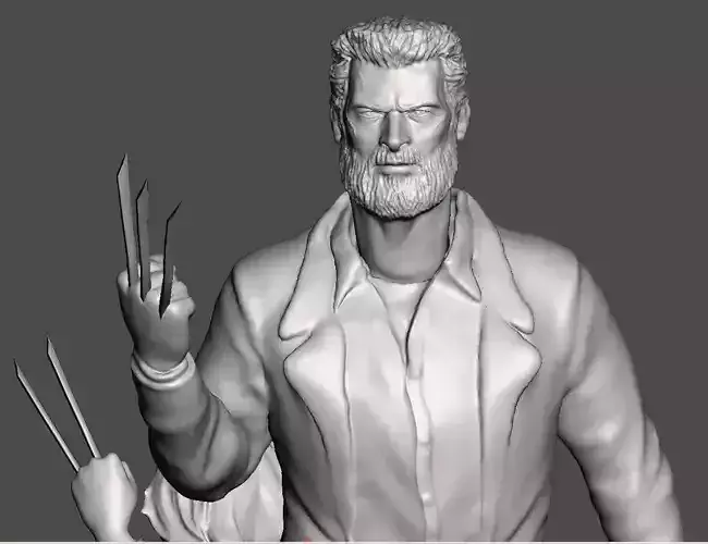 LOGAN WITH X23 INSPIRITED DIORAMA 