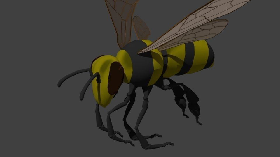 Insect Bee or Wasp 3D model_0