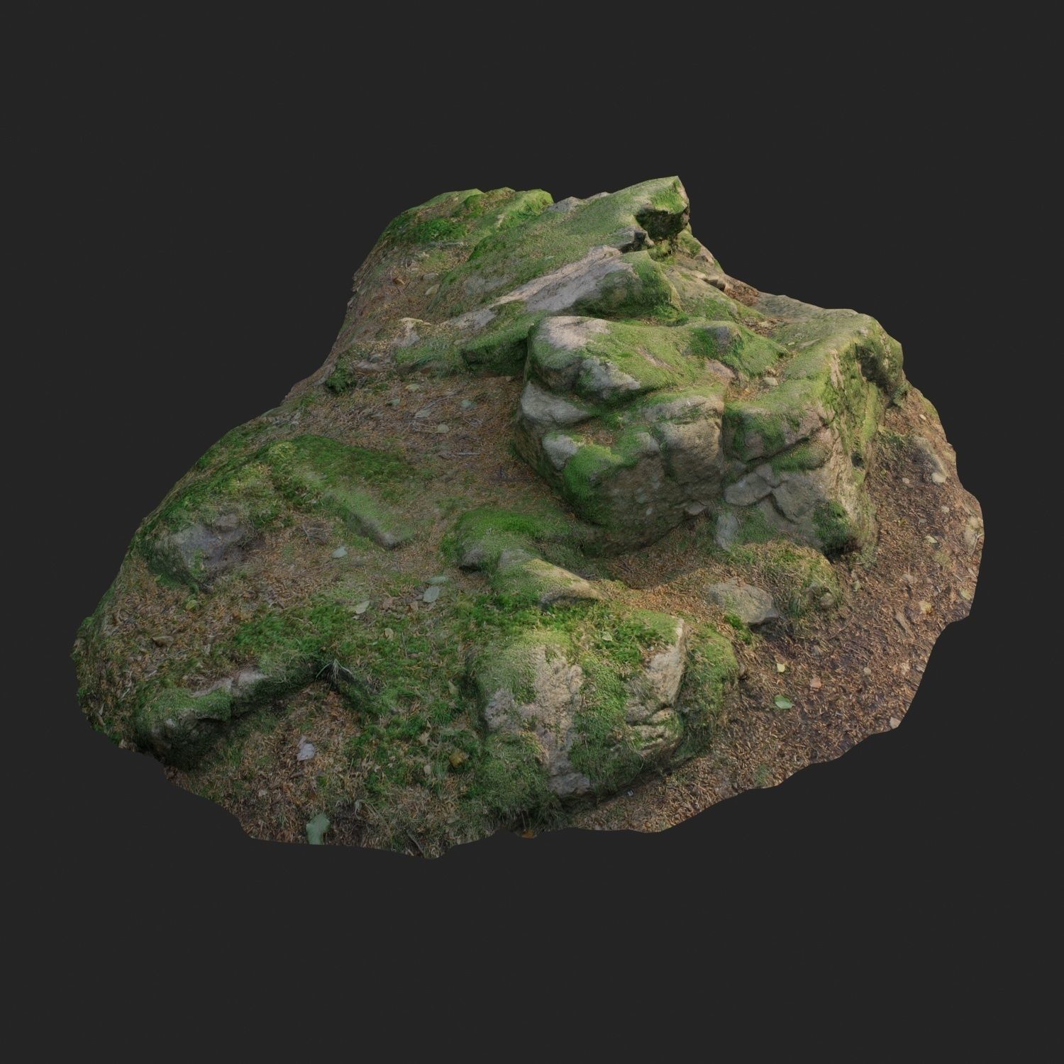 3d scanned nature forest stuff 008 Low-poly 3D model_2