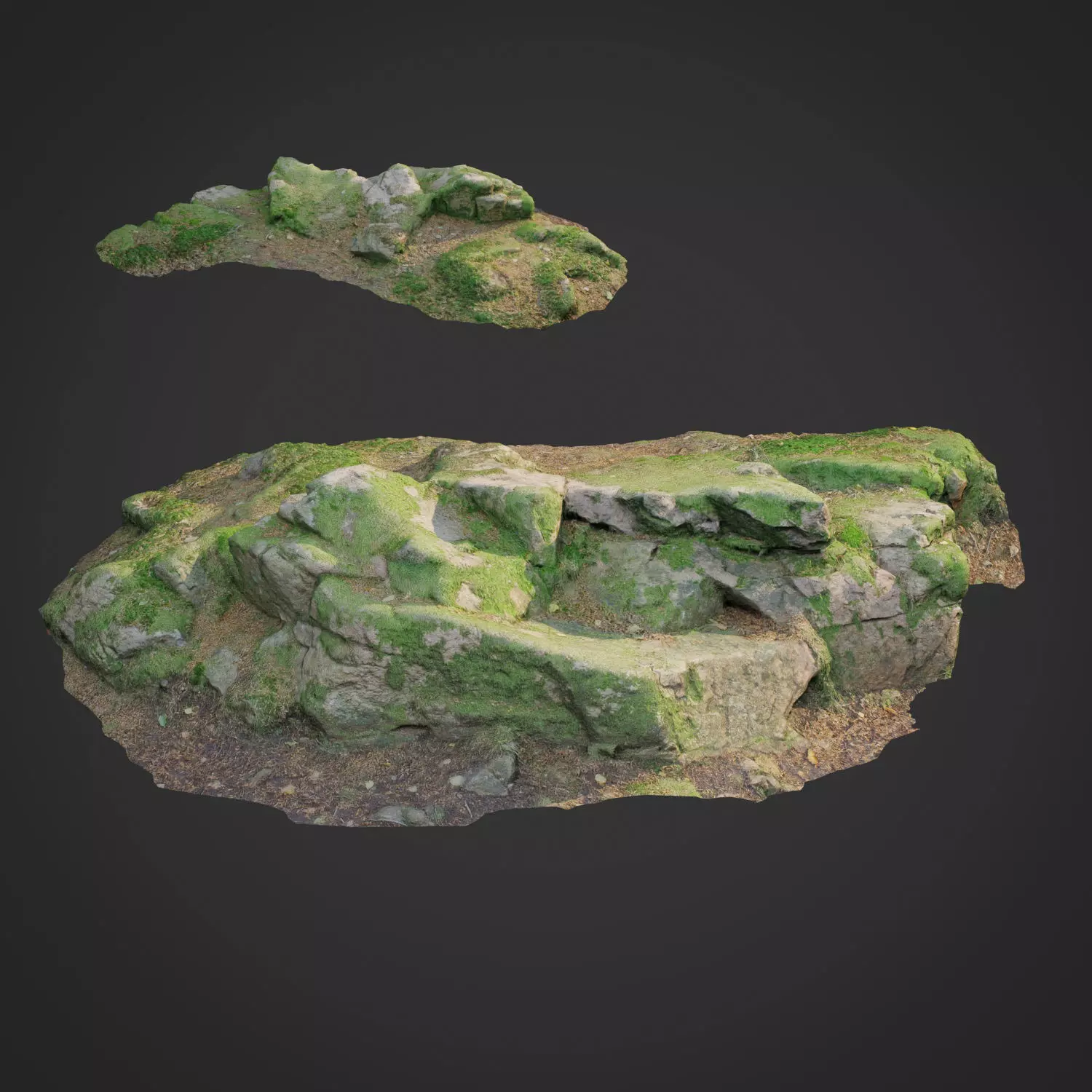 3d scanned nature forest stuff 008 Low-poly 3D model_0