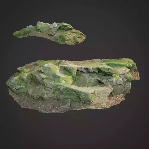 3d scanned nature forest stuff 008