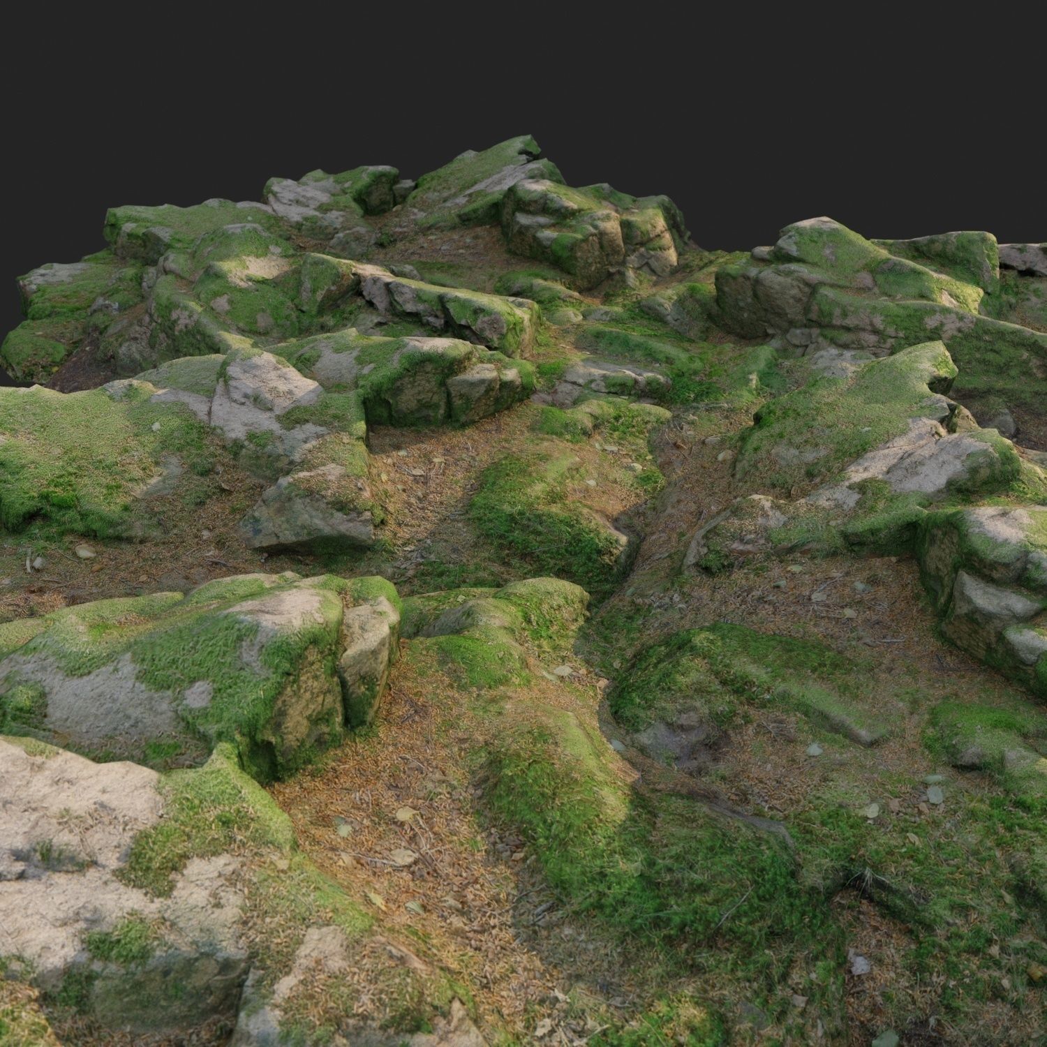 3d scanned nature forest stuff 008 Low-poly 3D model_4