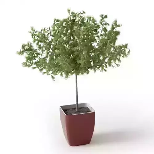 Plant 63 Archmodels vol 66