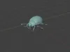 Realistic Ladybug 3D Model - Insect 3D model | CGTrader