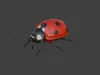 Realistic Ladybug 3D Model - Insect 3D model | CGTrader