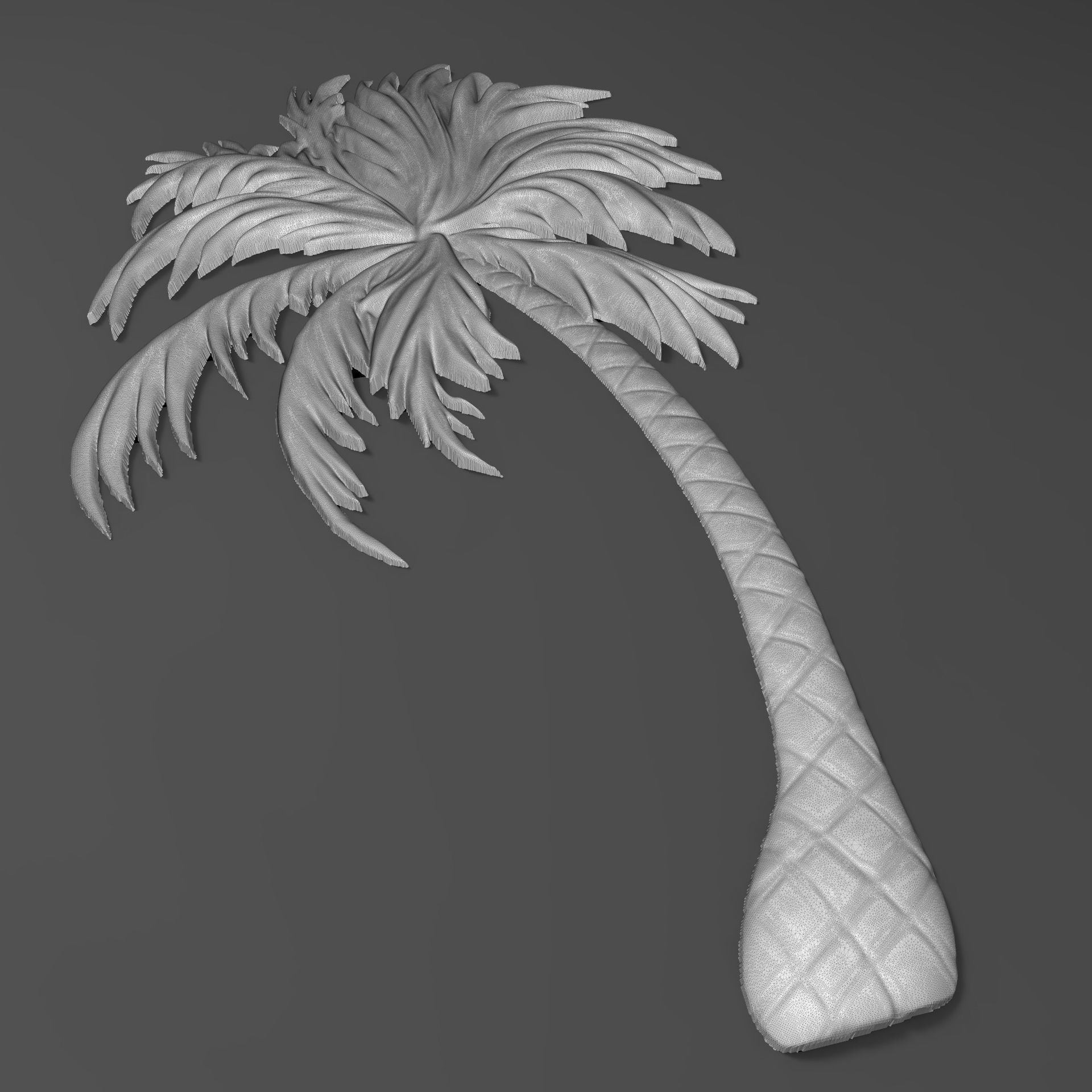 Palm tree bas relief bas relief for CNC 3D print model_4