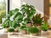 Tropical Indoor Potted Plants 3D Collection 3D model | CGTrader