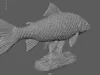 Detailed Fish Sculpture - Premium STL 3D model 3D printable | CGTrader