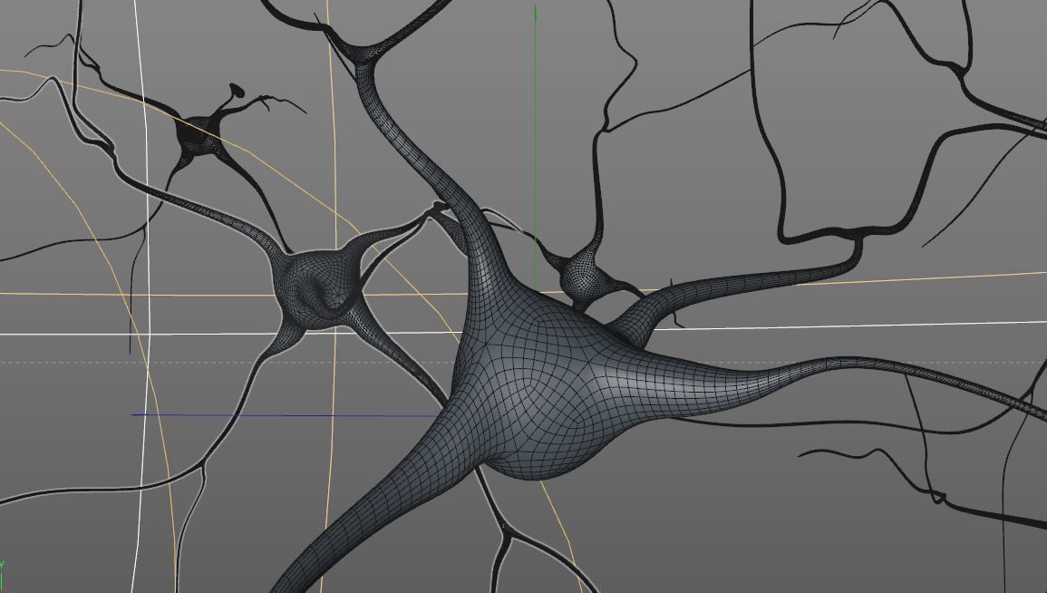 Brain Neurons 3D model_2