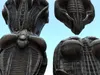 3D model Alien spaceships Sci Fi Pack 4 VR / AR / low-poly | CGTrader