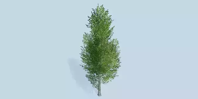 Lowpoly 3Dmodel tree VR AR game 3LOD number14