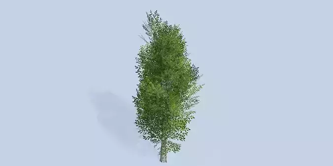 Lowpoly 3Dmodel tree VR AR game 3LOD number15
