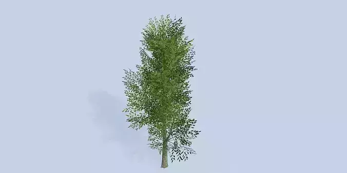 Lowpoly 3Dmodel tree VR AR game 3LOD number17