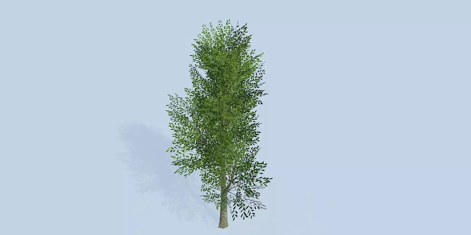 Lowpoly 3Dmodel tree VR AR game 3LOD number17 Low-poly 3D model_0
