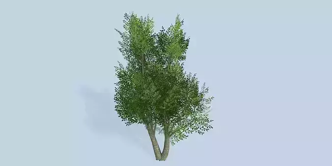 Lowpoly 3Dmodel tree VR AR game 3LOD number18