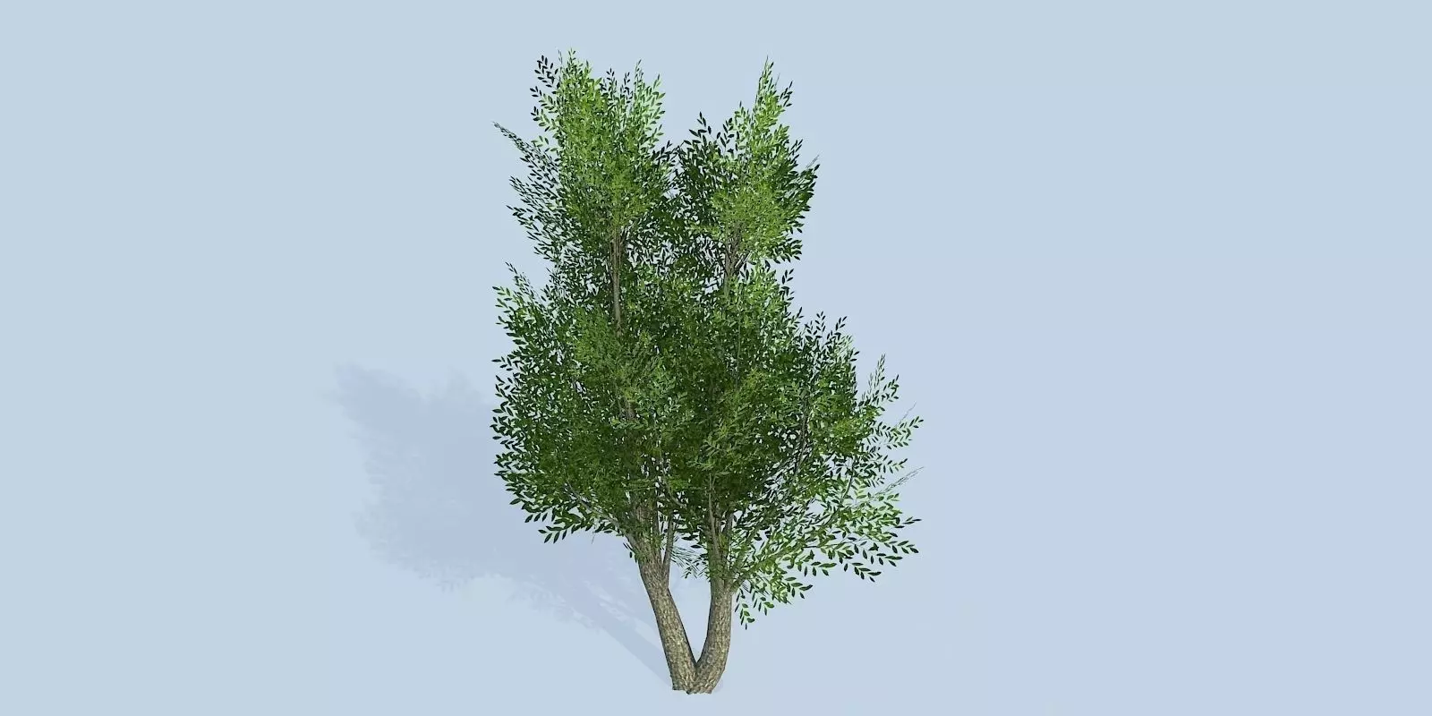Lowpoly 3Dmodel tree VR AR game 3LOD number18 Low-poly 3D model_0