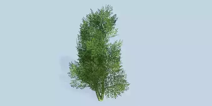 Lowpoly 3Dmodel tree VR AR game 3LOD number22