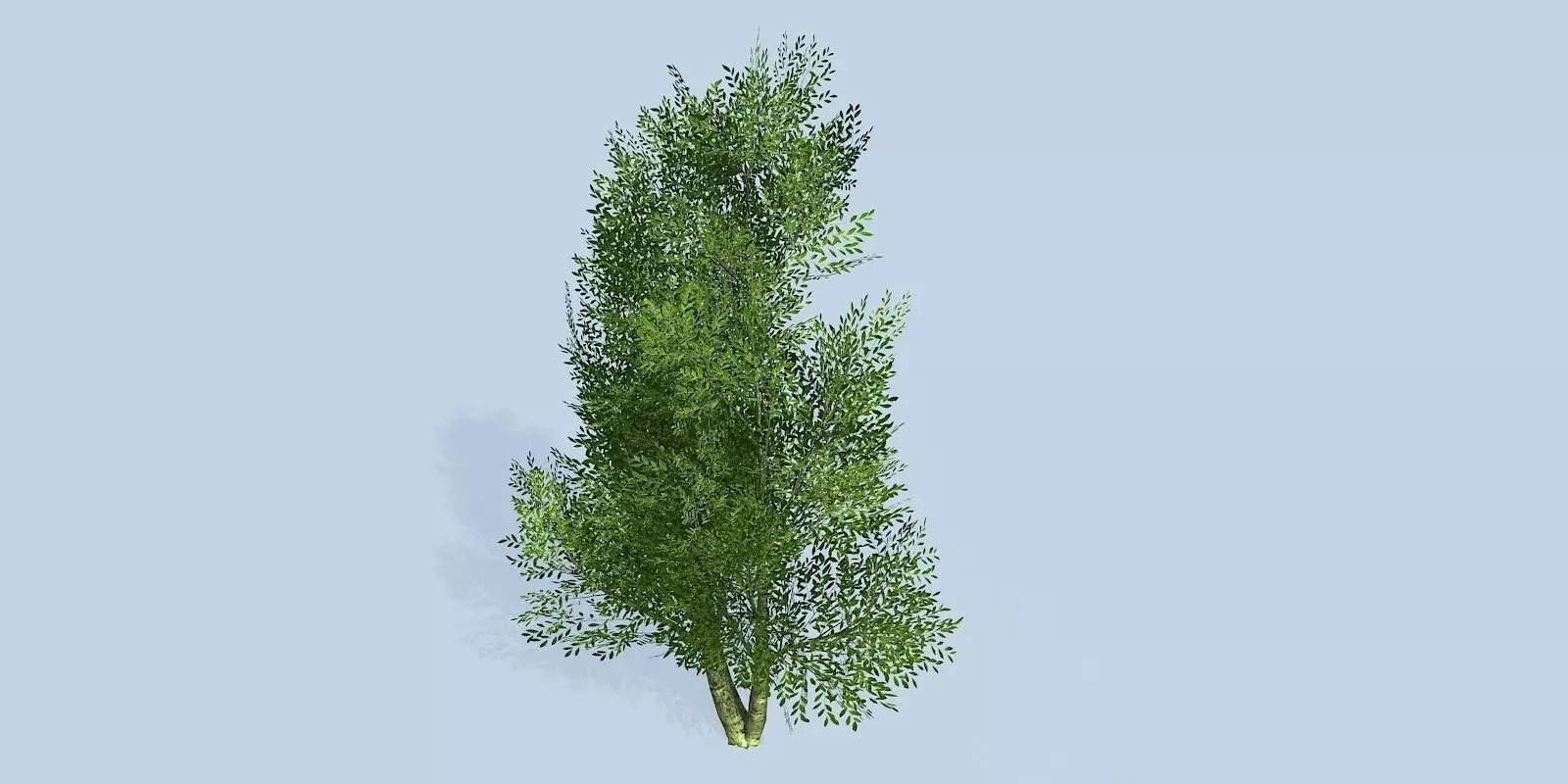 Lowpoly 3Dmodel tree VR AR game 3LOD number22 Low-poly 3D model_0