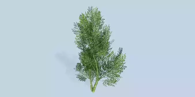 Lowpoly 3Dmodel tree VR AR game 3LOD number23