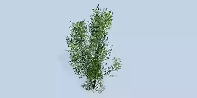 Lowpoly 3Dmodel tree VR AR game 3LOD number26