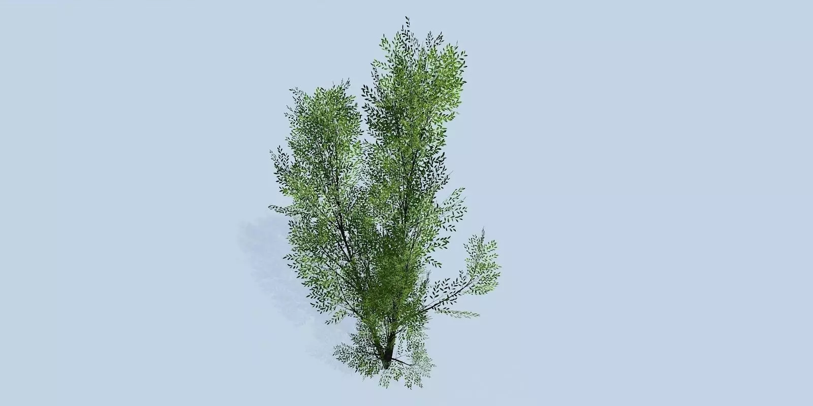 Lowpoly 3Dmodel tree VR AR game 3LOD number26 Low-poly 3D model_0