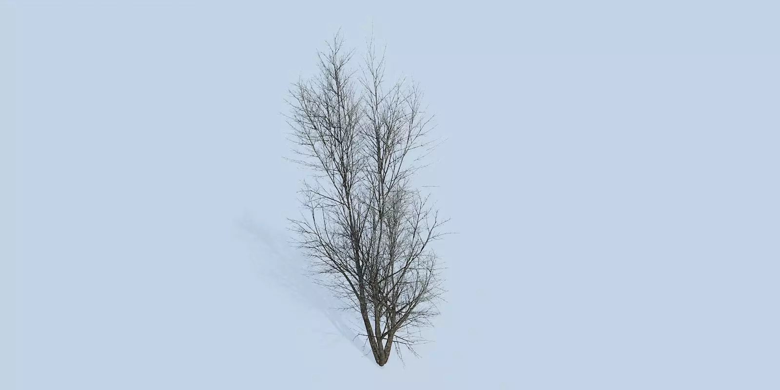 Lowpoly 3Dmodel tree VR AR game 3LOD number28 Low-poly 3D model_0