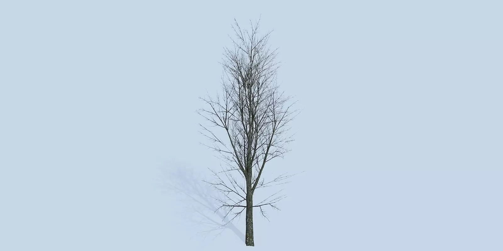 Lowpoly 3Dmodel tree VR AR game 3LOD number29 Low-poly 3D model_0