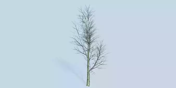 Lowpoly 3Dmodel tree VR AR game 3LOD number30